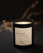 Rowan Whitethorn | 8oz Candle